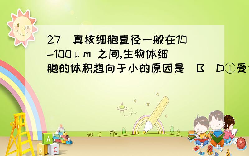 27．真核细胞直径一般在10-100μm 之间,生物体细胞的体积趋向于小的原因是（B）D①受细胞所能容纳的物质制约 ②相对面积小,有利于物质的迅速转运和交换 ③受细胞核所能控制的范围制约 ④