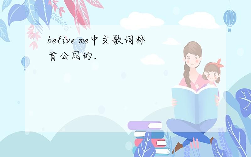 belive me中文歌词林肯公园的.