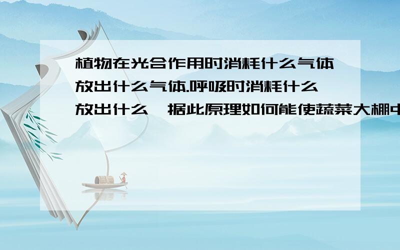 植物在光合作用时消耗什么气体放出什么气体.呼吸时消耗什么放出什么,据此原理如何能使蔬菜大棚中的植物生长更茂盛