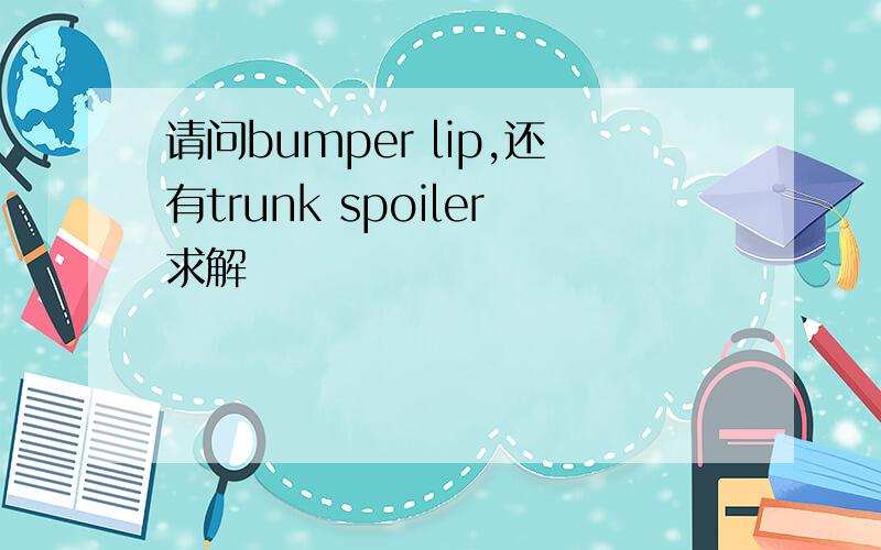 请问bumper lip,还有trunk spoiler求解