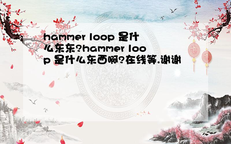 hammer loop 是什么东东?hammer loop 是什么东西啊?在线等.谢谢