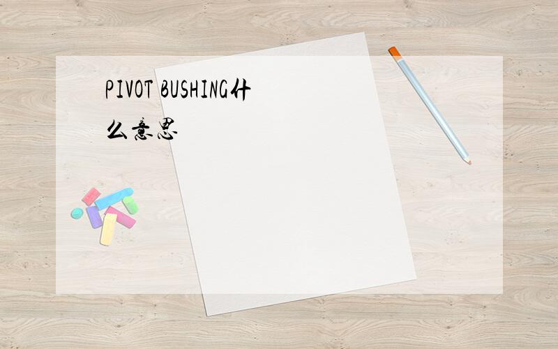 PIVOT BUSHING什么意思