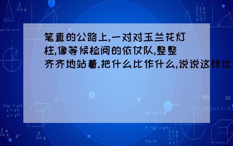 笔直的公路上,一对对玉兰花灯柱,像等候检阅的依仗队,整整齐齐地站着.把什么比作什么,说说这样比喻的好处!谁会谁是牛人!