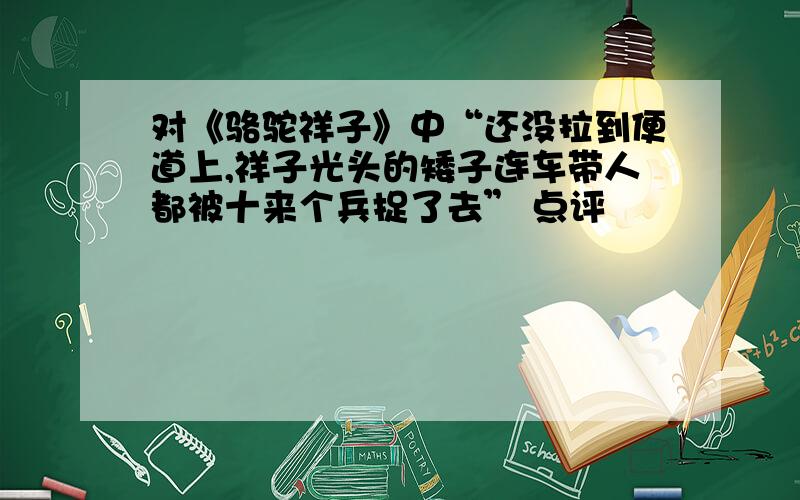 对《骆驼祥子》中“还没拉到便道上,祥子光头的矮子连车带人都被十来个兵捉了去” 点评