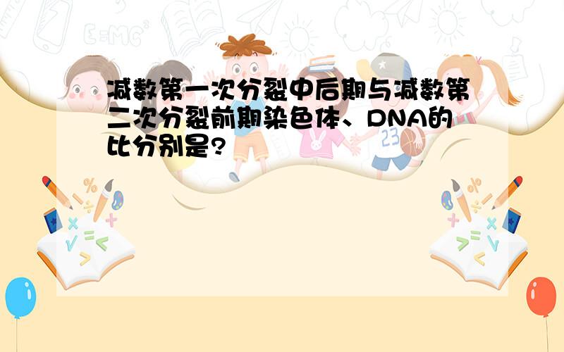 减数第一次分裂中后期与减数第二次分裂前期染色体、DNA的比分别是?