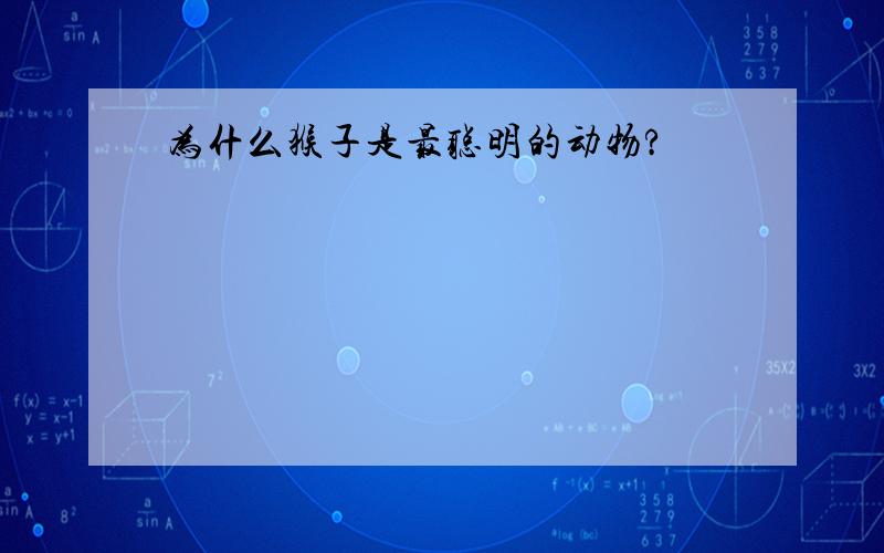 为什么猴子是最聪明的动物?