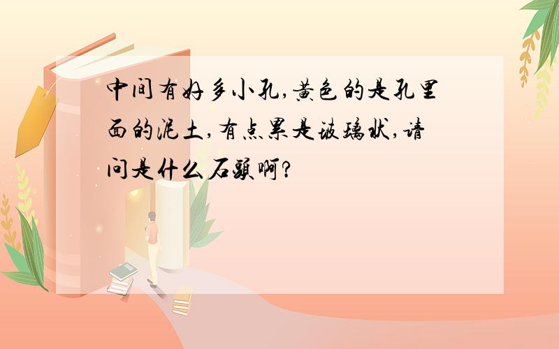 中间有好多小孔,黄色的是孔里面的泥土,有点累是玻璃状,请问是什么石头啊?