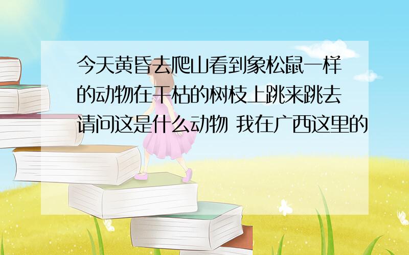 今天黄昏去爬山看到象松鼠一样的动物在干枯的树枝上跳来跳去请问这是什么动物 我在广西这里的