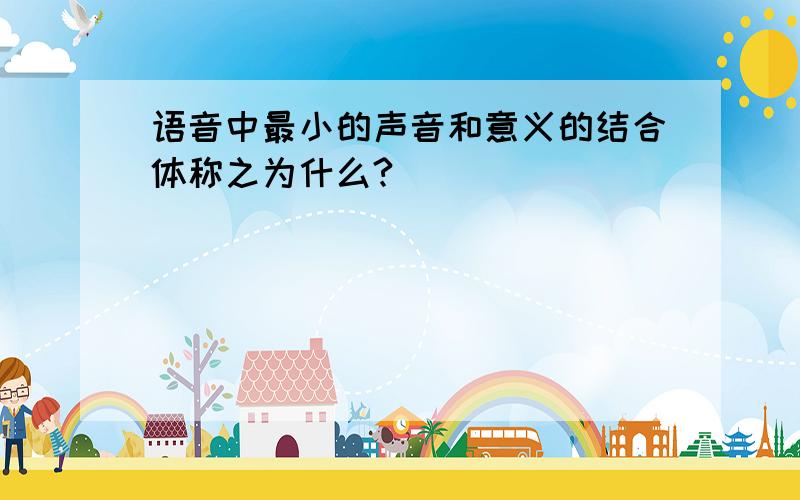 语音中最小的声音和意义的结合体称之为什么?