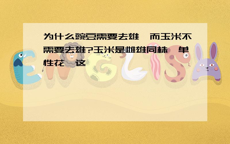 为什么豌豆需要去雄,而玉米不需要去雄?玉米是雌雄同株,单性花,这