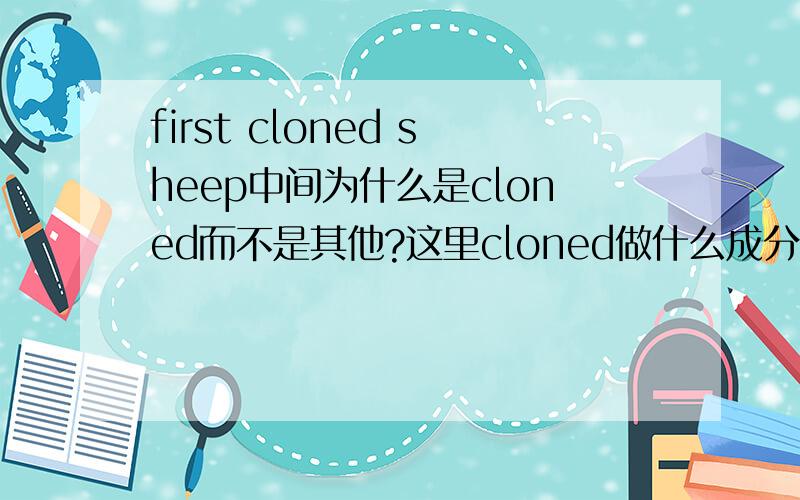 first cloned sheep中间为什么是cloned而不是其他?这里cloned做什么成分?为什么是cloned而不是cloneing之类的?请指教,