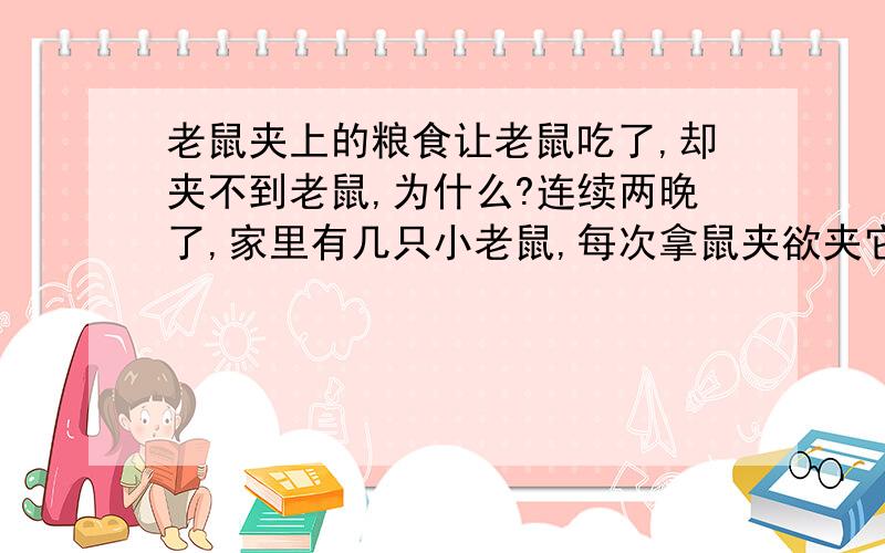 老鼠夹上的粮食让老鼠吃了,却夹不到老鼠,为什么?连续两晚了,家里有几只小老鼠,每次拿鼠夹欲夹它们的时候都无功而返,不但夹不着还把上面的粮食吃了,可恨啊