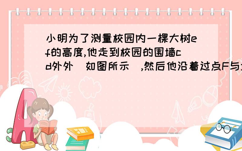 小明为了测量校园内一棵大树ef的高度,他走到校园的围墙cd外外（如图所示）,然后他沿着过点F与墙CD垂直的直