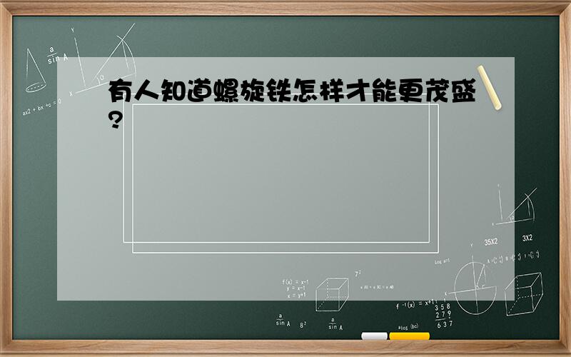 有人知道螺旋铁怎样才能更茂盛?