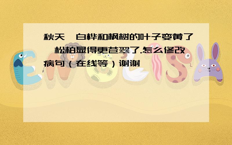 秋天,白桦和枫树的叶子变黄了,松柏显得更苍翠了.怎么修改病句（在线等）谢谢