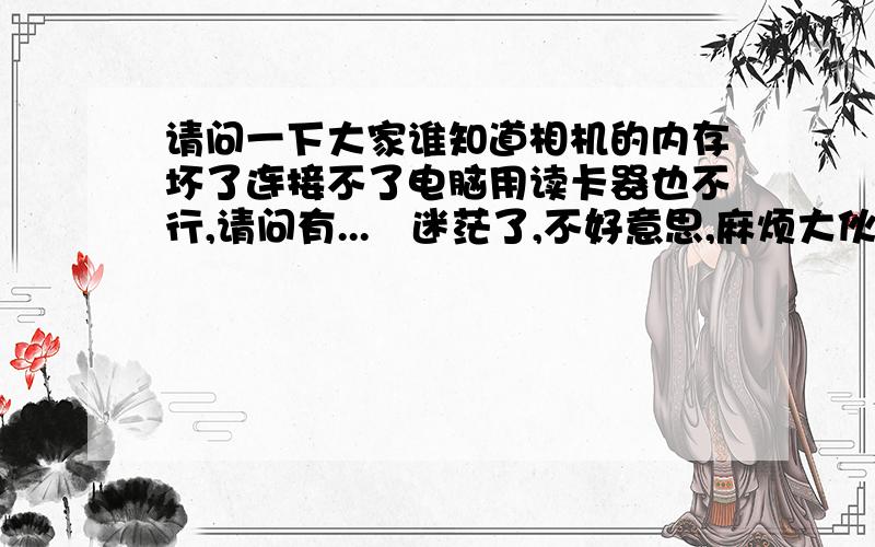 请问一下大家谁知道相机的内存坏了连接不了电脑用读卡器也不行,请问有...　迷茫了,不好意思,麻烦大伙