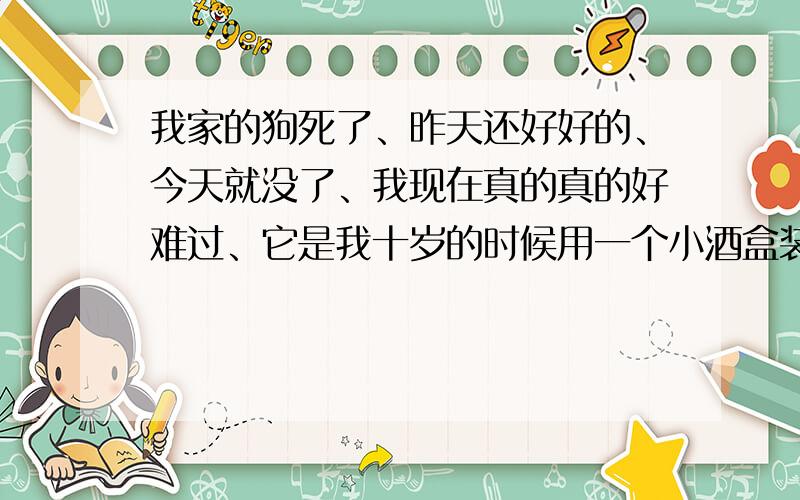 我家的狗死了、昨天还好好的、今天就没了、我现在真的真的好难过、它是我十岁的时候用一个小酒盒装来的、成为我童年的唯一色彩、今年我十八了、它在我家也有八年了、可是、我真的