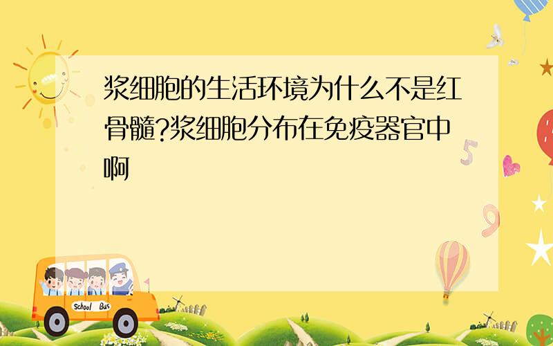 浆细胞的生活环境为什么不是红骨髓?浆细胞分布在免疫器官中啊