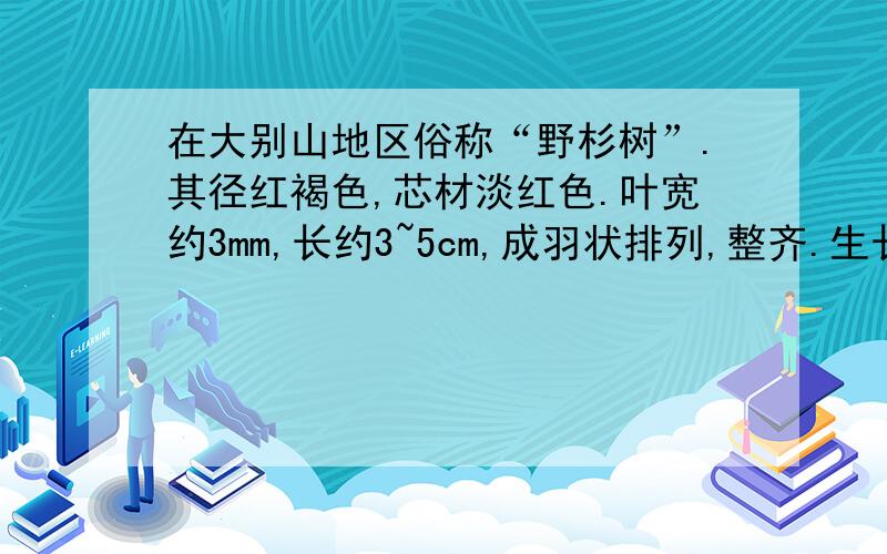 在大别山地区俗称“野杉树”.其径红褐色,芯材淡红色.叶宽约3mm,长约3~5cm,成羽状排列,整齐.生长缓...在大别山地区俗称“野杉树”.其径红褐色,芯材淡红色.叶宽约3mm,长约3~5cm,成羽状排列,整