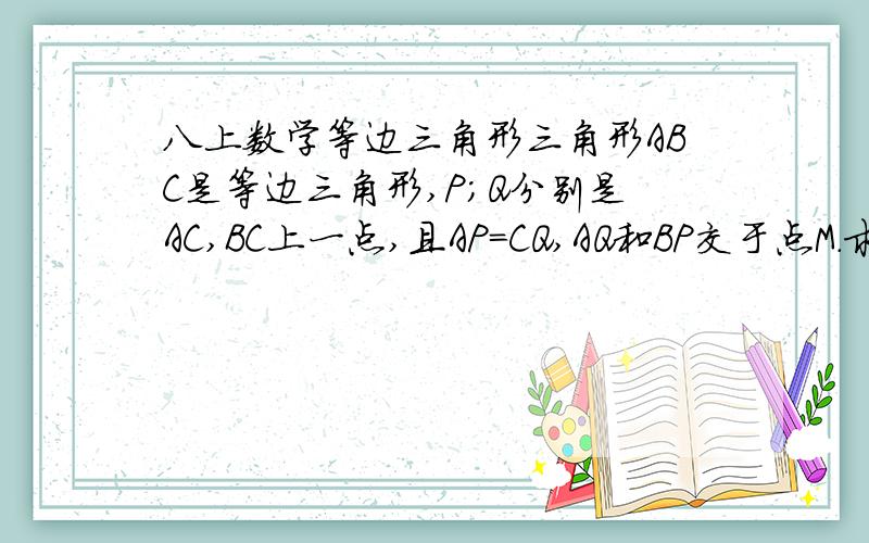 八上数学等边三角形三角形ABC是等边三角形,P；Q分别是AC,BC上一点,且AP=CQ,AQ和BP交于点M.求角BMQ的度数