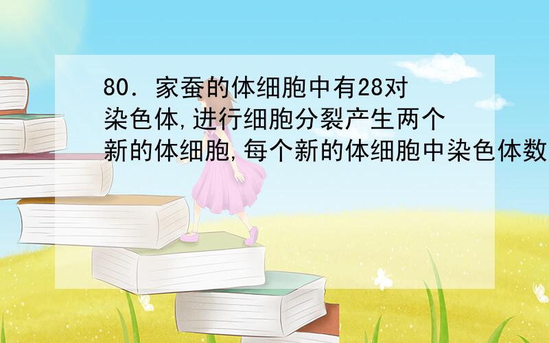 80．家蚕的体细胞中有28对染色体,进行细胞分裂产生两个新的体细胞,每个新的体细胞中染色体数目是多少（　　）A、28条　　B、28对　　C、14条　　D、14对81．已知水稻体细胞中染色体数目