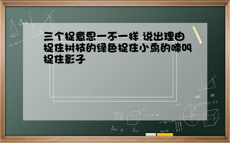 三个捉意思一不一样 说出理由捉住树枝的绿色捉住小鸟的啼叫捉住影子