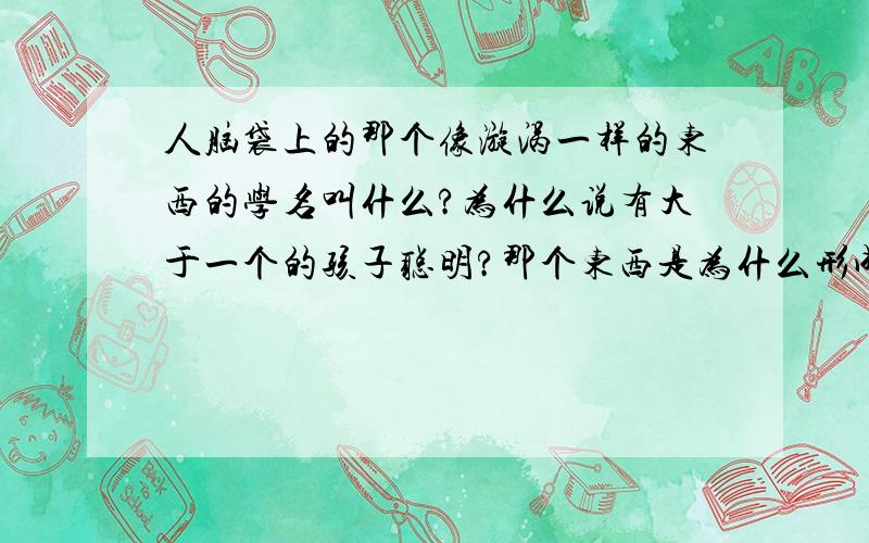 人脑袋上的那个像漩涡一样的东西的学名叫什么?为什么说有大于一个的孩子聪明?那个东西是为什么形成的?有什么作用?