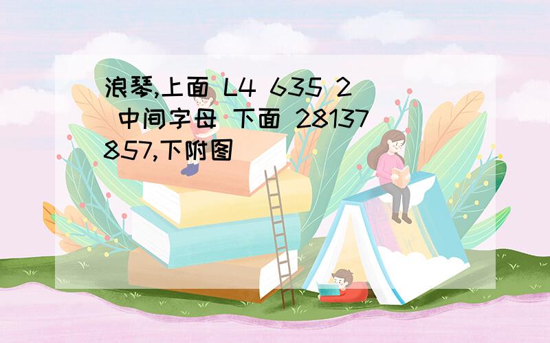 浪琴,上面 L4 635 2 中间字母 下面 28137857,下附图