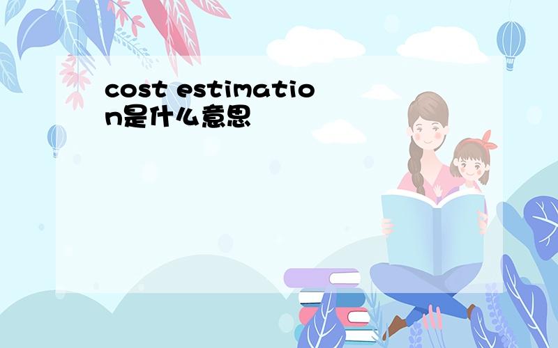 cost estimation是什么意思