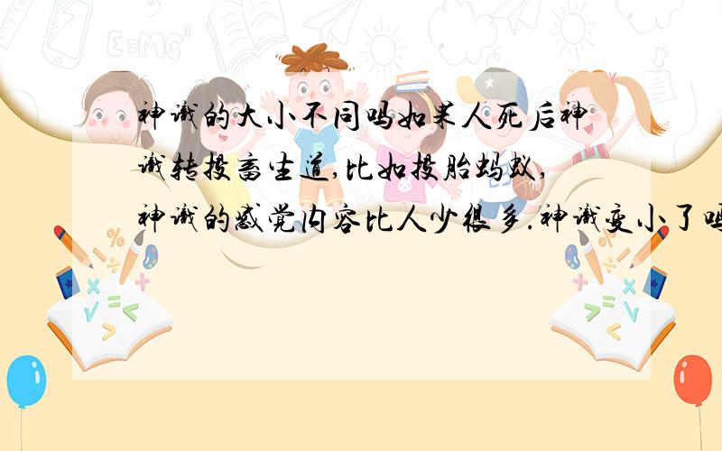 神识的大小不同吗如果人死后神识转投畜生道,比如投胎蚂蚁,神识的感觉内容比人少很多.神识变小了吗