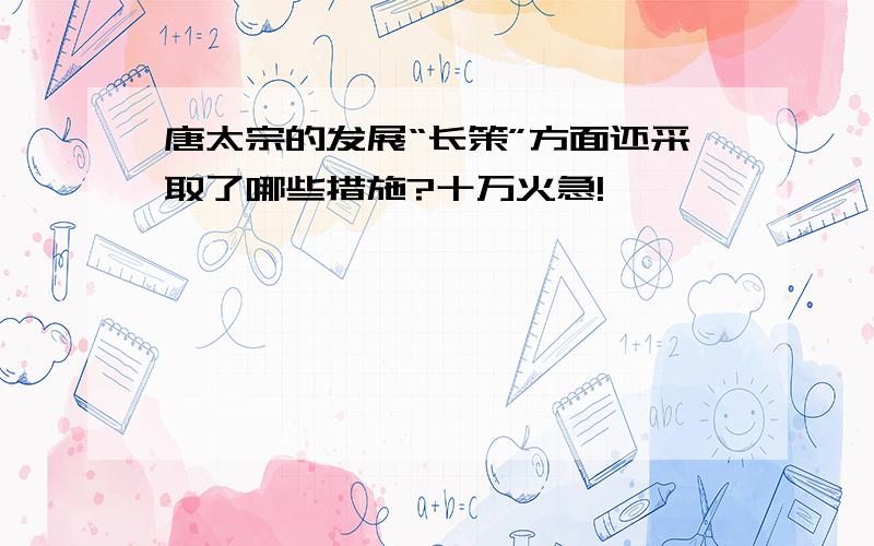 唐太宗的发展“长策”方面还采取了哪些措施?十万火急!