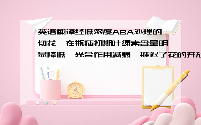 英语翻译经低浓度ABA处理的切花,在瓶插初期叶绿素含量明显降低,光合作用减弱,推迟了花的开放.经低浓度ABA处理的切花亦可促进花的水分平衡值,增加切花鲜重,延缓蛋白质的分解,从而延长了