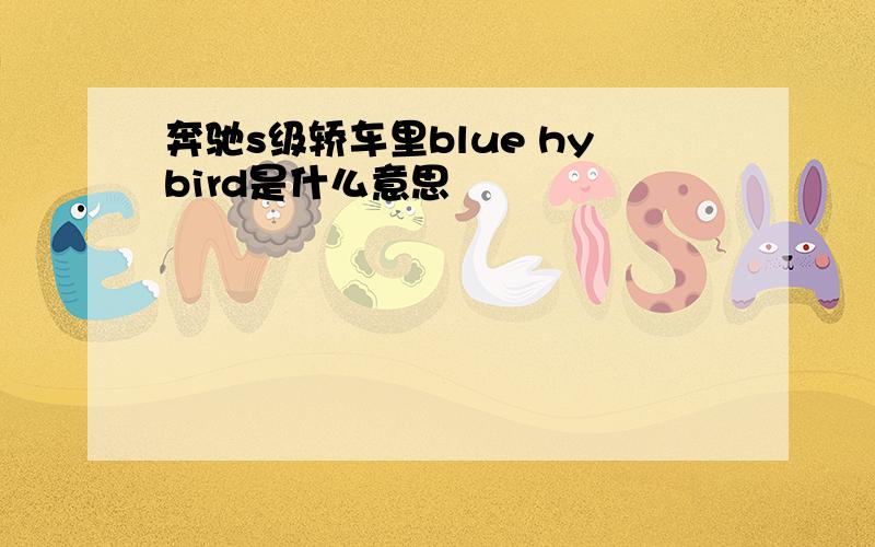 奔驰s级轿车里blue hybird是什么意思