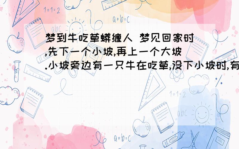 梦到牛吃草蟒缠人 梦见回家时,先下一个小坡,再上一个大坡.小坡旁边有一只牛在吃草,没下小坡时,有一只蟒从大坡上下来蟒,缠住我把我送到坡上.