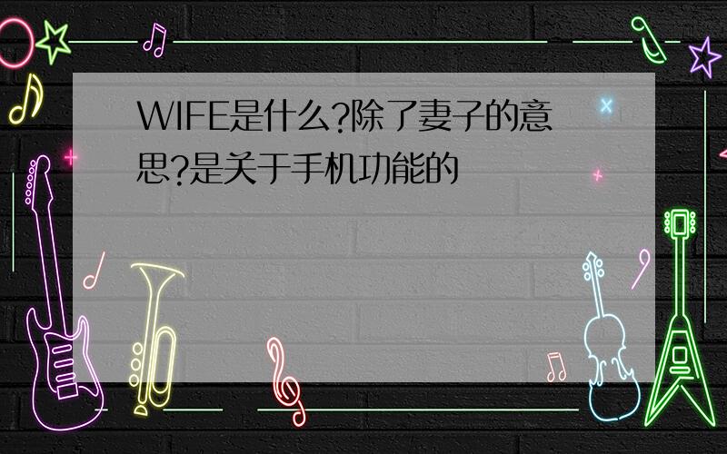 WIFE是什么?除了妻子的意思?是关于手机功能的