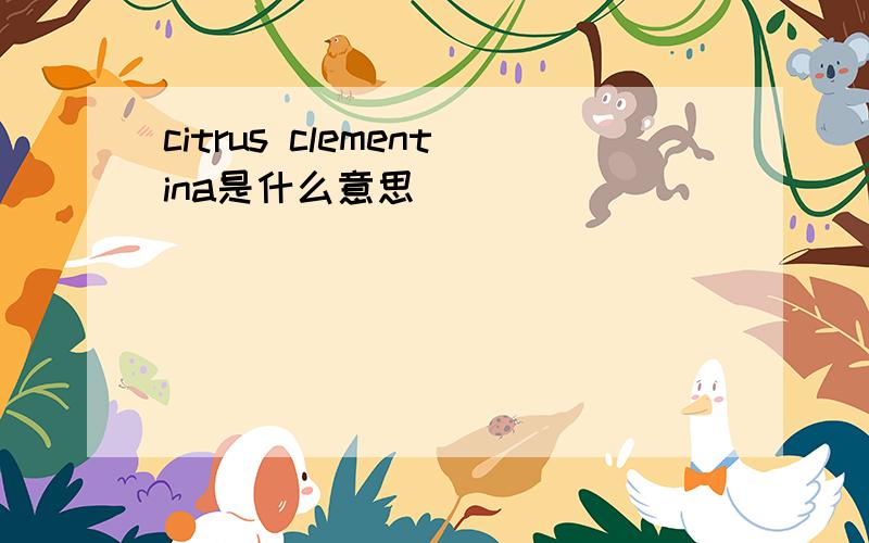 citrus clementina是什么意思