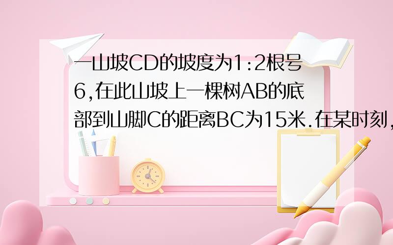 一山坡CD的坡度为1:2根号6,在此山坡上一棵树AB的底部到山脚C的距离BC为15米.在某时刻,树的影子落在山脚下水平地面上的长度为1米,同一时刻,山脚下水平地面上的一棵高为4米的树,在水平地面