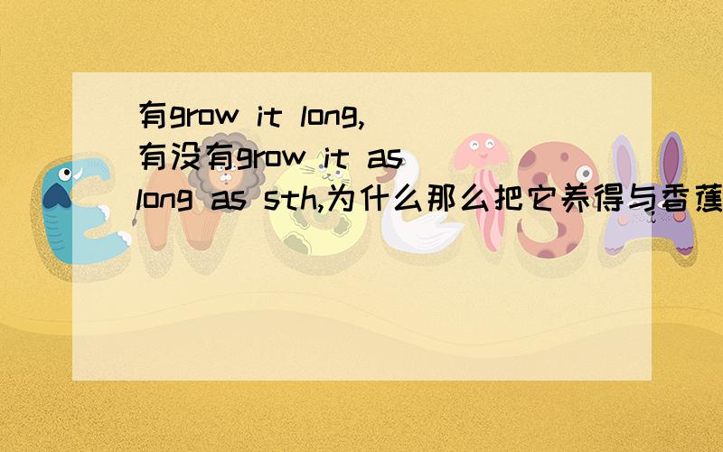 有grow it long,有没有grow it as long as sth,为什么那么把它养得与香蕉一样长，用一句话怎么翻译呢