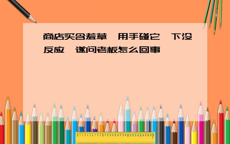 商店买含羞草,用手碰它一下没反应,遂问老板怎么回事