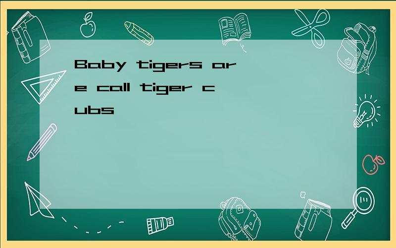 Baby tigers are call tiger cubs