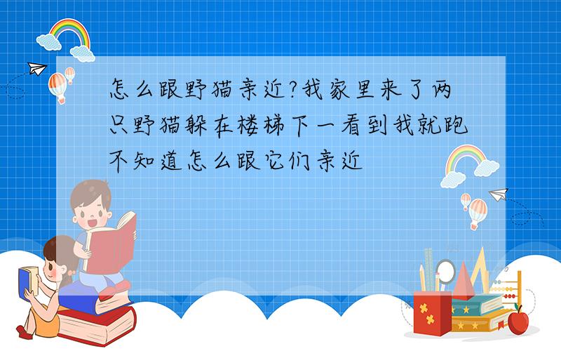 怎么跟野猫亲近?我家里来了两只野猫躲在楼梯下一看到我就跑不知道怎么跟它们亲近