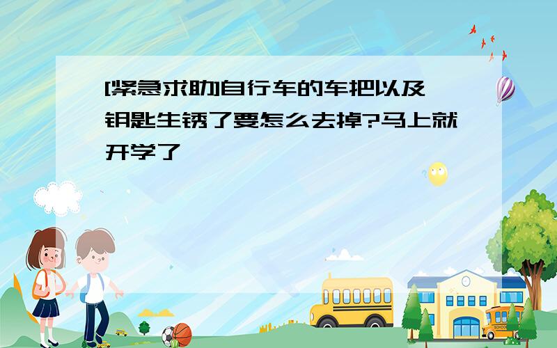 [紧急求助]自行车的车把以及钥匙生锈了要怎么去掉?马上就开学了,