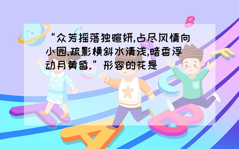 “众芳摇落独暄妍,占尽风情向小园.疏影横斜水清浅,暗香浮动月黄昏.”形容的花是