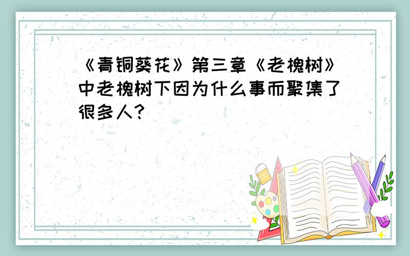 《青铜葵花》第三章《老槐树》中老槐树下因为什么事而聚集了很多人?