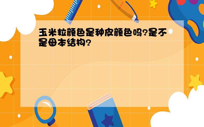 玉米粒颜色是种皮颜色吗?是不是母本结构?