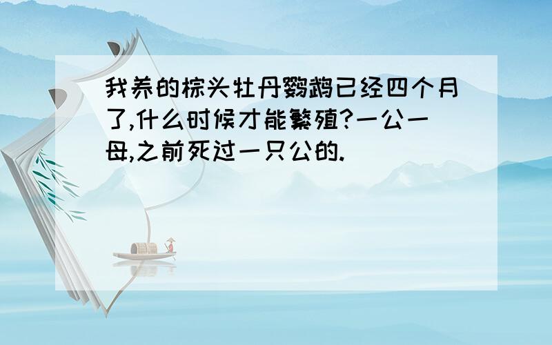 我养的棕头牡丹鹦鹉已经四个月了,什么时候才能繁殖?一公一母,之前死过一只公的.