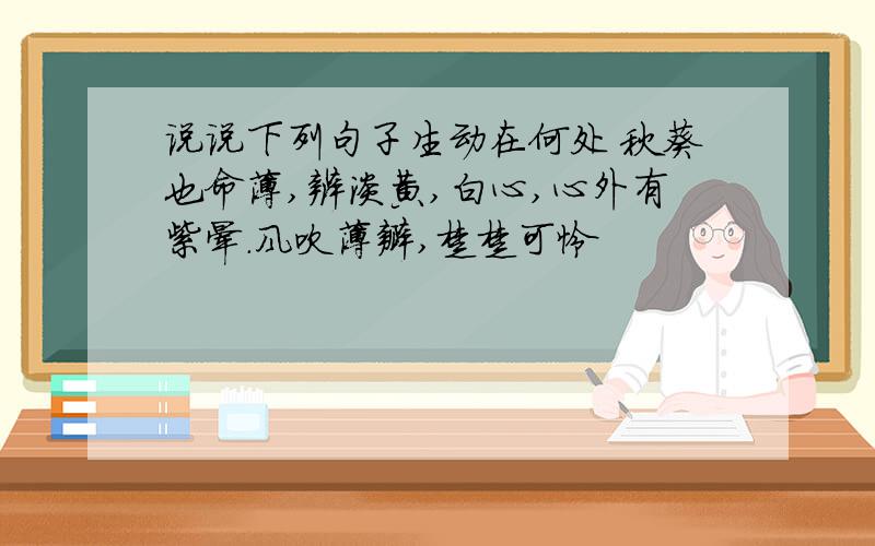 说说下列句子生动在何处 秋葵也命薄,辨淡黄,白心,心外有紫晕.风吹薄瓣,楚楚可怜