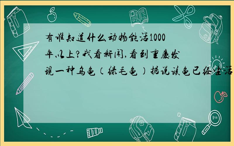 有谁知道什么动物能活1000年以上?我看新闻,看到重庆发现一种乌龟（绿毛龟）据说该龟已经生活了800多年了,而且刚刚进入青年期.据说该龟能活2000年以上,新闻上老汉还给他的乌龟在动物远里