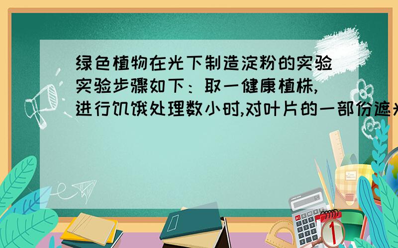 绿色植物在光下制造淀粉的实验实验步骤如下：取一健康植株,进行饥饿处理数小时,对叶片的一部份遮光处理,放在阳光下,数小时后,对比遮光的叶子部位（解释这一部分每一步的目的及作用