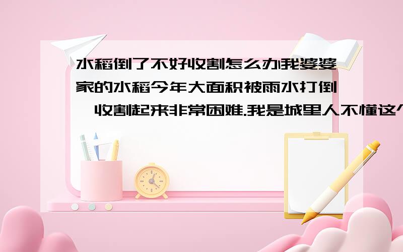 水稻倒了不好收割怎么办我婆婆家的水稻今年大面积被雨水打倒,收割起来非常困难.我是城里人不懂这个,干着急.谁可以告诉我要怎么才能帮到他们.我想这个也是全体农民向知道的.请全国了